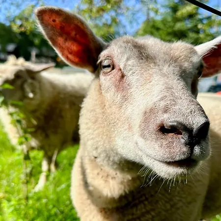 South Soul * Somme-Leuze